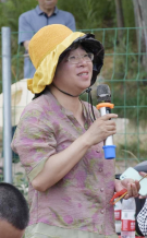 图片 33.png